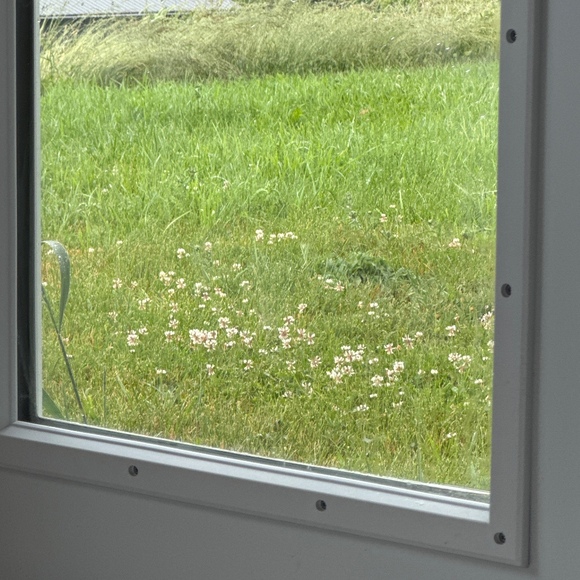 Meet your Posher, Ann - Picture 1 of 1